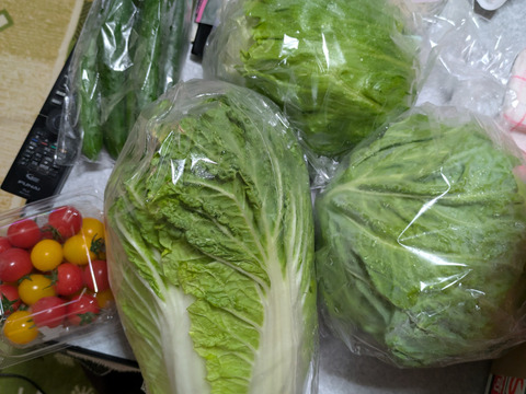 和美様専用‼️おまかせ野菜セット‼️