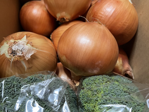 ブロッコリー2株×淡路島玉ねぎ10個セット【祝!3年連続金賞🏆】