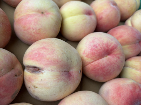 桃🍑　訳あり　3kg