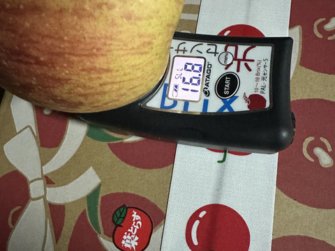 りんごの食べ比べBOX🍎約3kg箱　9〜12玉入