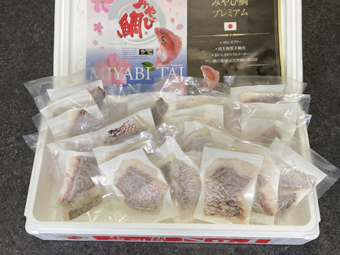 【盛りだくさん屋】【豪快山盛り2kg!】一流寿司職人絶賛の真鯛!みやび鯛切り身 真空20パック(1パック 約50g×2切れ)