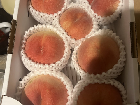 【ご家庭用桃】品種おまかせ🍑2キロ🍑【届いた時は硬いが追熟すると柔らかくなるタイプのもも】【全部で５品種】【訳あり】