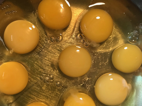 限定販売✨菊池の平飼い有精卵🥚
あっさり美味しい！！（２０個入り）✨