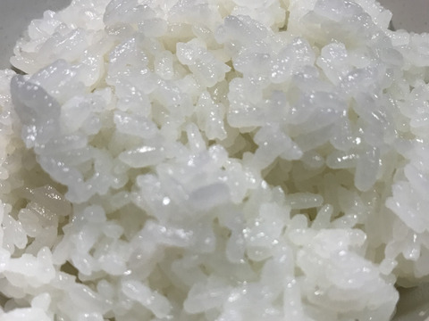 令和4年　新米　新潟産植酸栽培米　ﾐﾙｷｰｸｲｰﾝ 5kg