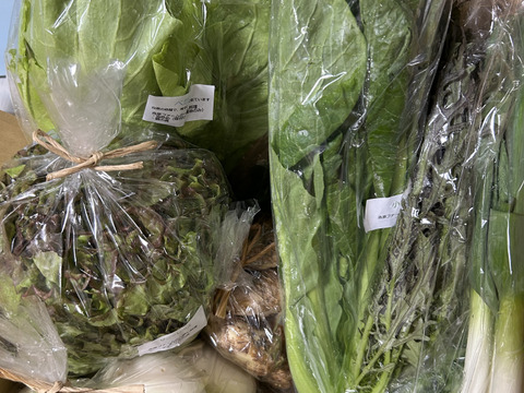 自然栽培野菜Mセット7～9種類