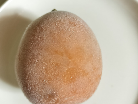 【ビワ農家のおやつ】冷凍房州びわ 450g