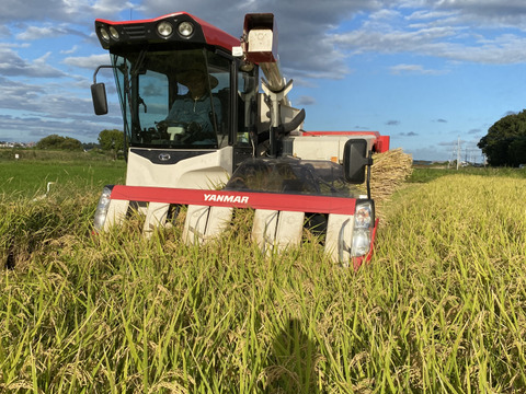 コシヒカリ（精米）5kg