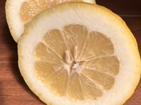 【農薬不使用】ビックサイズ❗️エビス農園の完熟レモン（4kg）