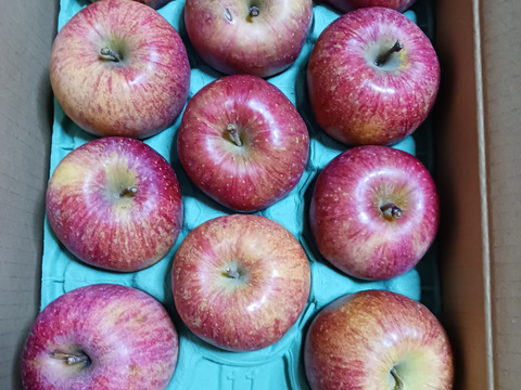 2026年度産予約開始🍎青森県産完熟葉取らずふじ家庭用キズあり約3kg‼️
