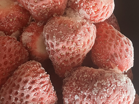 冷凍いちご１Kg（500g×2袋）石垣いちごをヘタを取って冷凍にしました