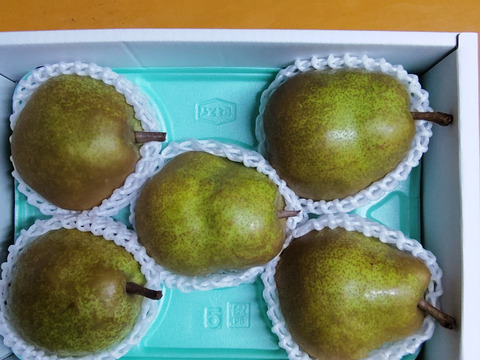 高貴な香り山形ラ・フランス【３Kg】