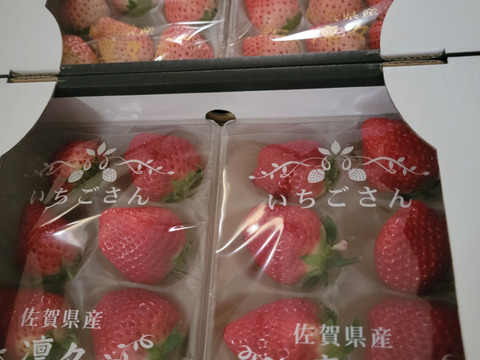いちごさん（240g✖️2）4セット