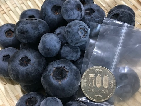 大粒】【完熟】【農薬不使用】フレッシュブルーベリー (1kg
