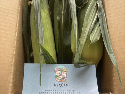 《フルーツのようなミラクルスイートコーン》味来　5本入り