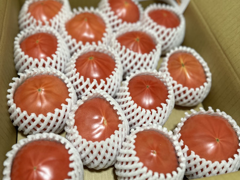 【こだわり土耕栽培】濃厚な愛情と旨み！こてらんねぇトマト M〜Lサイズ(約3kg 入り)