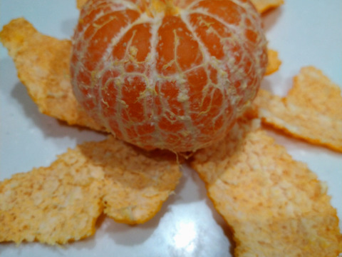 リピーター続出の人気商品！『三ヶ日早生みかん』ご家庭用10kg