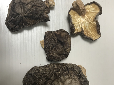 天然原木栽培 色々丸干し椎茸150g 1袋 割れや変形にてお得な料金で 味は変わりありません 出汁取りに最適 秩父からお届けします 埼玉県産 食べチョク 農家 漁師の産直ネット通販 旬の食材を生産者直送 天然原木栽培 色々丸干し椎茸150g 1袋 割れや変形にてお得な料金で 味は変わりありません 出汁取りに最適 秩父からお届けします 埼玉県産 食べチョク 農家 漁師の産直ネット通販 旬の食材を生産者直送