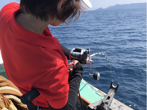 山口県産天然ぶり 冷凍加工済み
大特価です！