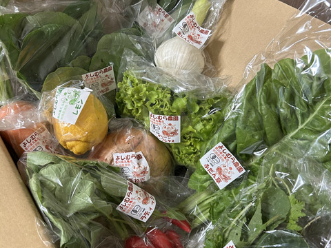 季節の有機野菜セット＜ライト＞