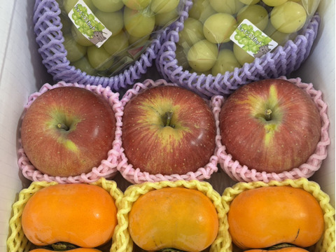 お買い得!まるせい果樹園の秋の味覚セット　フルーツボックス　３ｋ箱　oｍa1