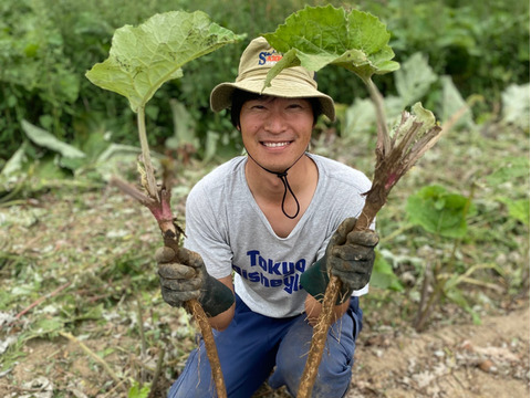 平沢農場自慢の葉物根菜セット（7品目）