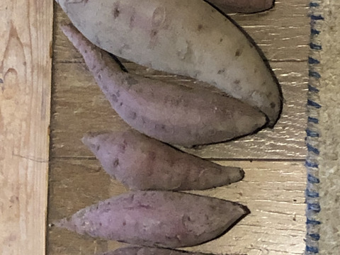 自然栽培ひかりのたねのサツマイモ2キロ