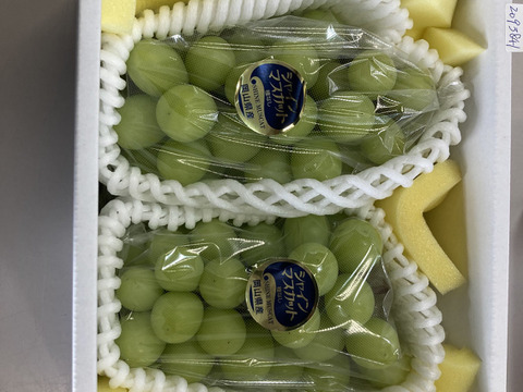 家庭用　岡山県産　種なし　シャインマスカット　約１.5キロ SH1.5