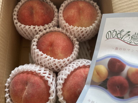 【さくら白桃】硬い、甘い、うまい、これ桃！？桃なんです！1.5kg