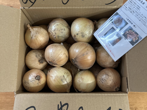 《自然栽培・食品ロス》 淡路島産 人に優しい 旨味「玉ねぎ」(晩生)３ kg 
【2020年最優秀賞受賞／2022年SDG'sエバンジェリスト認定取得】