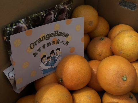 【ミニ！まどんな！】まどんな　3kg ※小玉サイズ （ご家庭用）【冬ギフト】