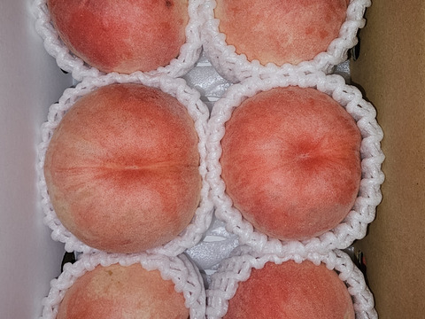 【お届けは8月中旬～】おどろき(おうち用)「驚きの硬さ」１．５ｋｇ×２箱