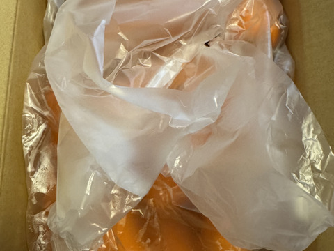 800件を超えるご注文ありがとうございます✨皮ごと食べれる❗️あま〜いさんぶにんじん🥕（約5キロ）