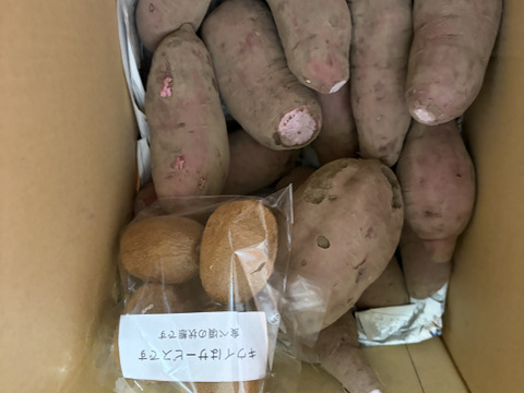 3kg⭐️訳あり⭐️紫芋⭐️パープルスイートロード