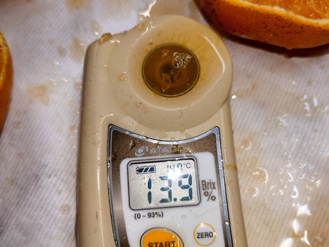 新品種☆ひぜんユース☆3.5キロ