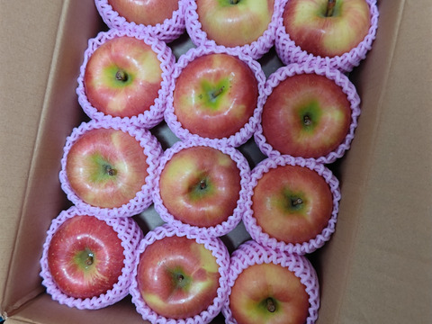 🏆2025年りんごGP金賞受賞🎊青森県産りんご　蜜たっぷり葉とらず高徳　贈答用【3㎏　9～12個入り】