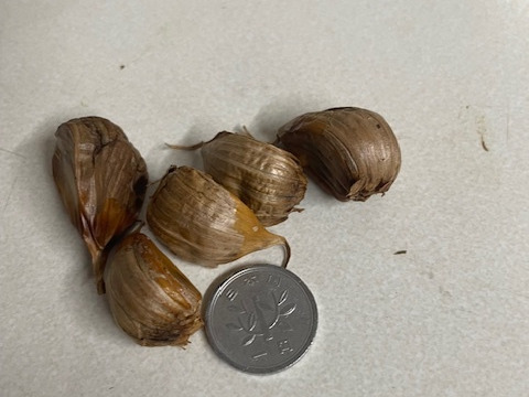 訳アリ　黒にんにく　青森産　福地ホワイト六片　500ｇ