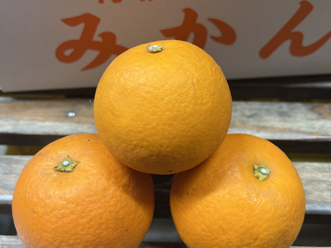 福原オレンジ小玉3㎏