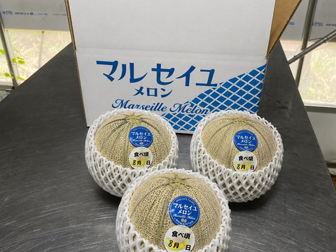 [6/11頃〜発送開始]福井市砂丘地区で栽培された濃厚な甘み、赤肉のマルセイユメロン