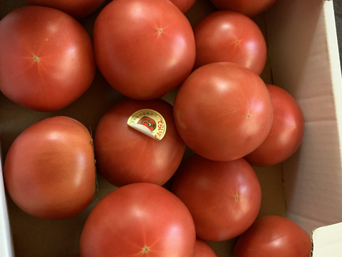 完熟美味っっ!!ブランドトマト【寺泉トマト】(2kg)
