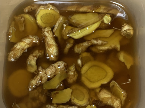 【春ウコン】農薬不使用 お買い得泥つき未選別