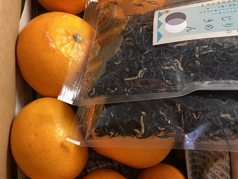 最終せとか小粒　　せとか段々畑育ちすぐ発送7箱まで送料一緒
】せとか1.5kg小粒今食べごろいつもの石野水産ルール同梱もどうぞ！！常温品は送料同じ！クールは４４０円からになるかと。