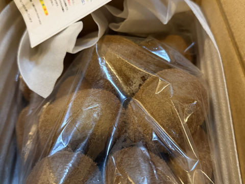 ビタミンたっぷりキウイふる～つ　家庭用Mサイズ2K箱 【品種ヘイワード】）