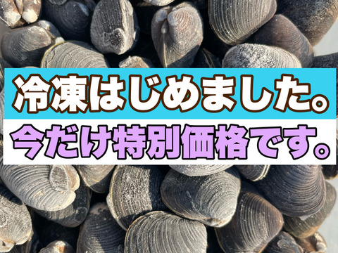 【今月特別価格‼️】冷凍はじめました。🧊十三湖産冷凍しじみ中貝1kg！