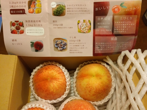 58.九州クール便福島県産希少品種CXシーエクス硬い桃箱込み約2.8kg家庭用 福島県産 伊達市で開発 シーエックス 2kg 2025年10月上旬～2025