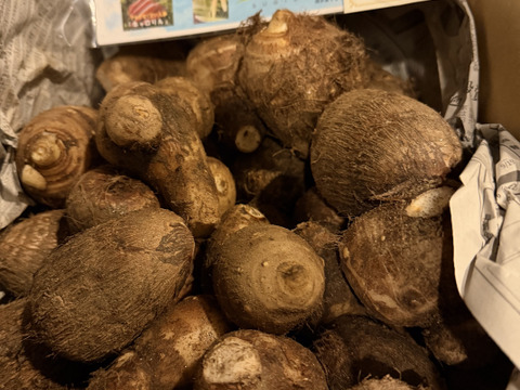 【野菜ソムリエサミット金賞受賞🥇】絶品！とろける里芋【とろまろ】4.5kg土付き