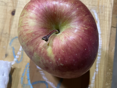 助けてください　激安葉取らず
サンふじ家庭用　訳あり５キロ