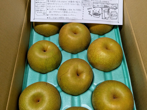 令和7年8月発送【予約】梨 幸水 良品5kg‼️長野県産
