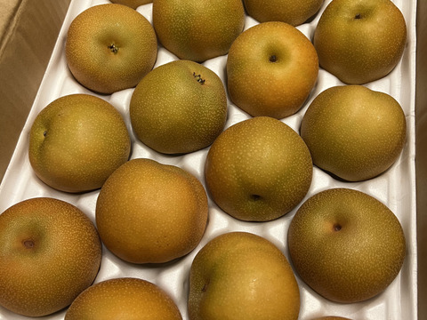 甘みと酸味が最高！豊水梨（家庭用）約5kg(18玉) 小ぶり