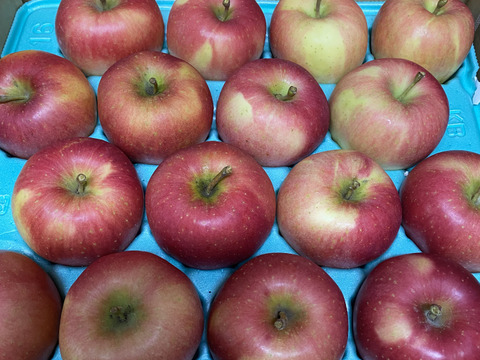 残りわずか🚚🍎超希少品種🍎安祈世🍎5kg りんご好きもうなる皮までおいしい低農薬りんご✨【良品】キズなし 青森県特別栽培