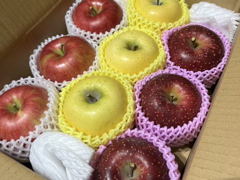 【３品種】詰め合わせ🍎🍏　おまかせ3キロ